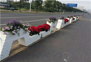 花箱道路护栏